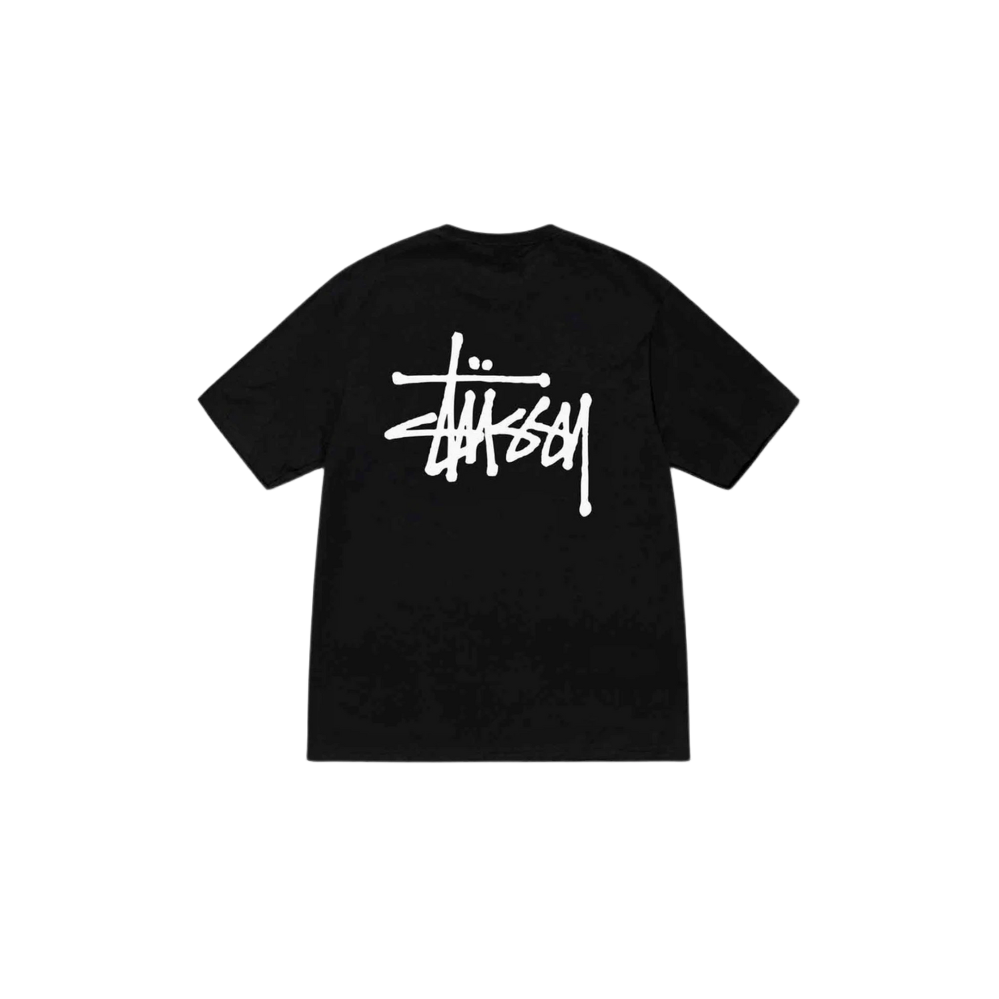 Dri-Fit STUSSY T-Shirts