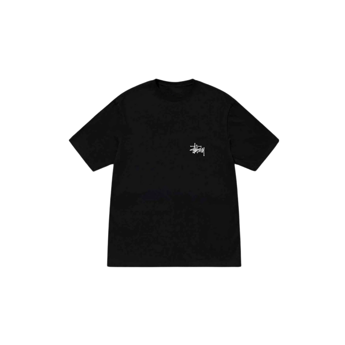 Dri-Fit STUSSY T-Shirts