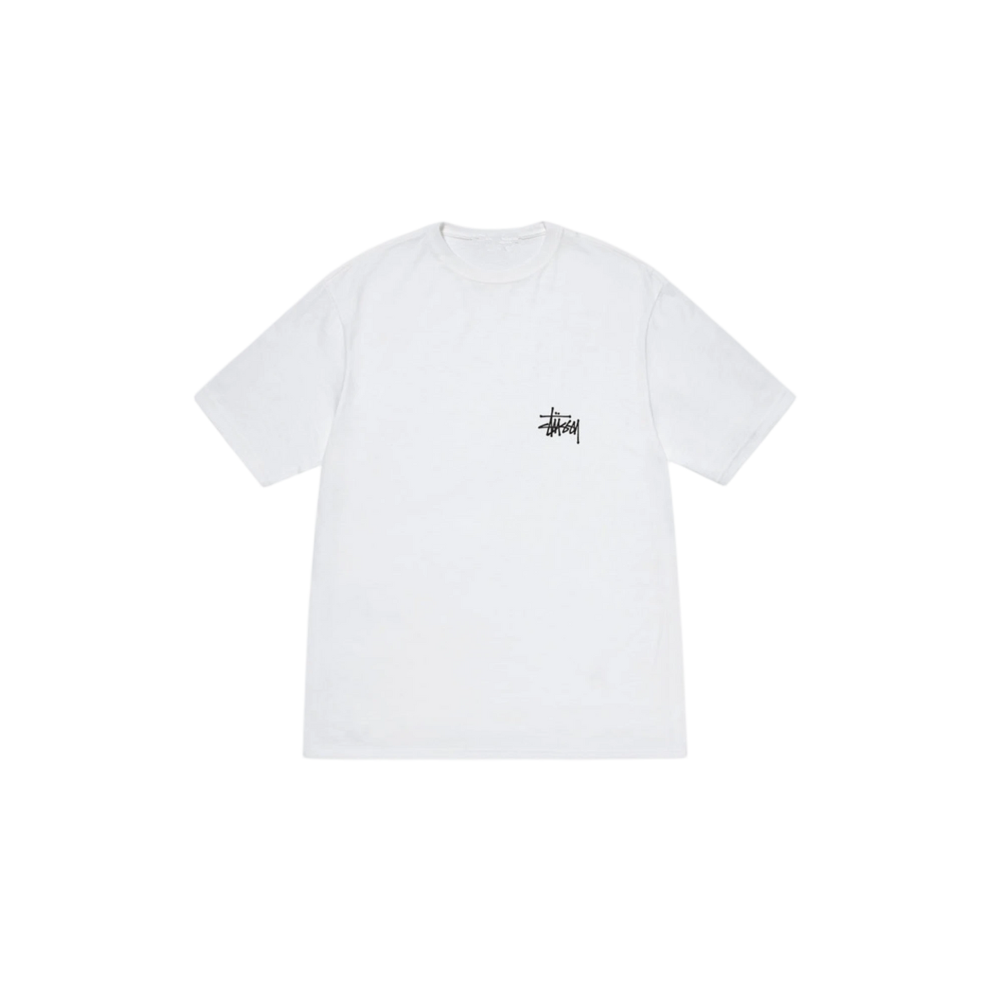 Dri-Fit STUSSY T-Shirts